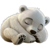 Polar bear