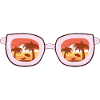 sunglasses