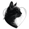 Katze