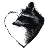 Raton laveur