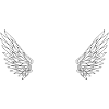 Number 66 Angel - 66th Birthday Wings