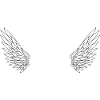 Numéro 61 ange - 61e anniversaire ailes