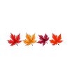 Autumn Text Season