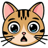 Scared cat kawaii
