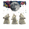 Chinchilla Pet Howling Moon