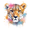 Gepard Guépard
