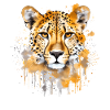 Gepard Cheetah