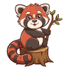 Panda roux totalement mignon