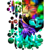 Fantasy Dance Fireworks