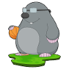 Taupe Basketteur Basketteur