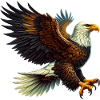 Eagle