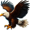 Eagle