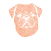 Pekingese fingerprint