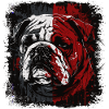 Bouledogue anglais