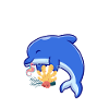 A boy who loves dolphins