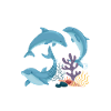 Dolphin Whisperer Lover Dolphins