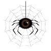 Happy Halloween: Spider