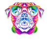 Pug Dog Sunglasses Popart