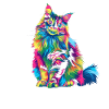 Ragdoll Chat Popart