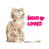 Scottish Fold Cat