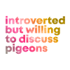 pigeon