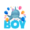 Dolphin - Birthday Child