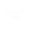 Dolphins are my therapy