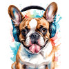 Bouledogue Français Casque Frenchie Dog