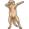 Danse hip hop suricate
