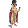 Meerkat Wizard Wand