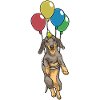 Ballon d’anniversaire teckel