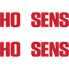 Horsens Denmark Flag