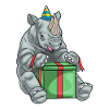 Rhino Birthday Package