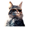 Maine Coon Cat Cat Mom Cat Maine Coon Cats