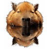 Capybara