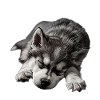 Rauque