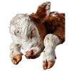 Vache