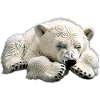 Polar bear