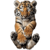 Tigre