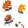Ants in autumn