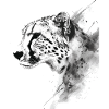 Guépard