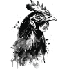 Poulet