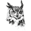 Hibou