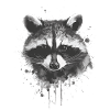 Waschbär
