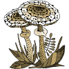 Fungi