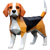 Hund Beagle