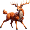 Hirsch