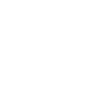 Cygne volant