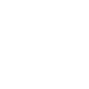 Dirigent