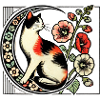Calico Cat